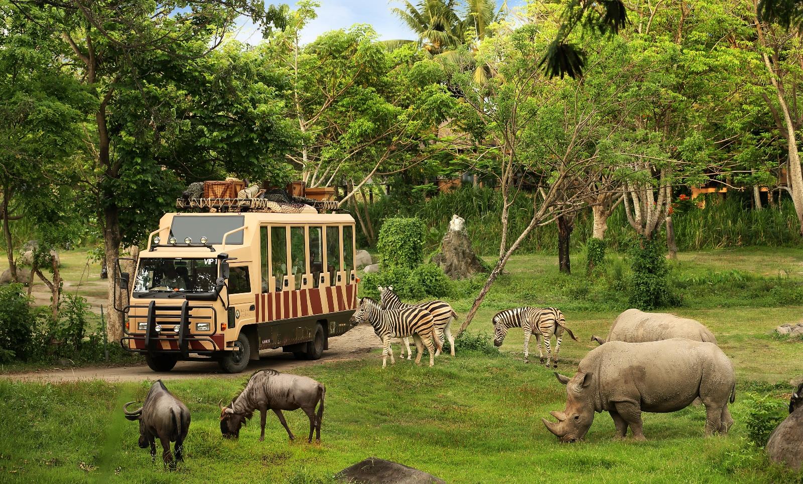 Bali Safari