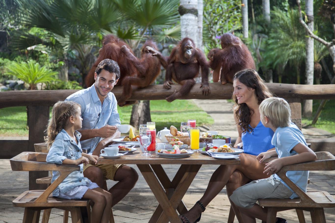 Bali Zoo
