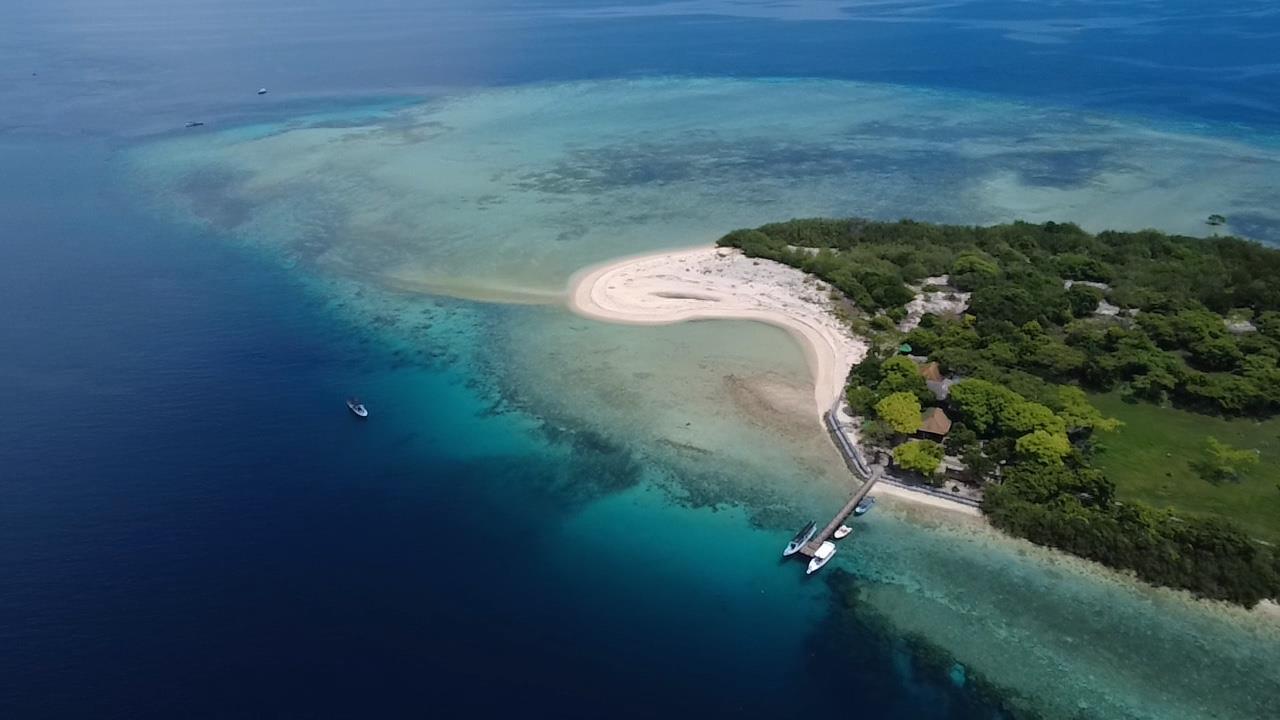 Snorkeling Menjangan Island