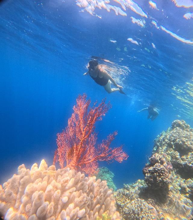Snorkeling — Blue Lagoon & Tanjung Jepun